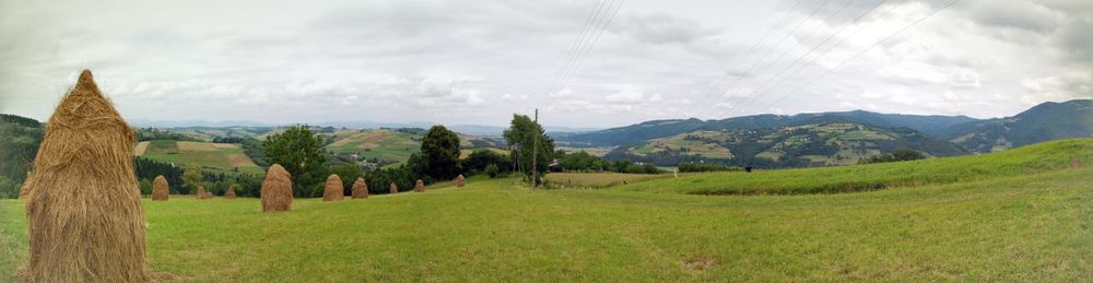 Panoramic view of trees on field against sky