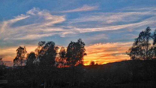 Low angle view of silhouette trees against sky during sunset