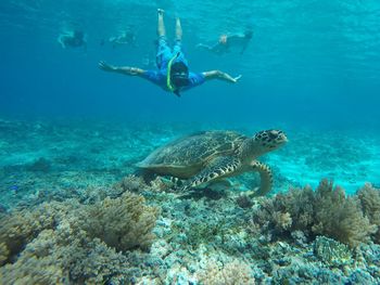 Friends scuba diving undersea