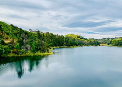 Scenic view of lake by trees against sky