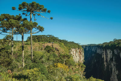 Dirt pathway and people at the itaimbezinho canyon with rocky cliffs near cambara do sul, brazil.