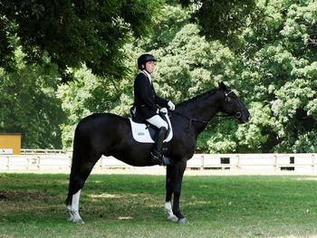 Side view of mature man riding horse on grassy field against trees