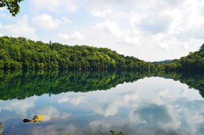Scenic view of lake with trees in background