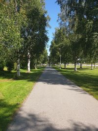 Empty road amidst trees in park