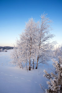 Beautiful winter landscapes in the valleys