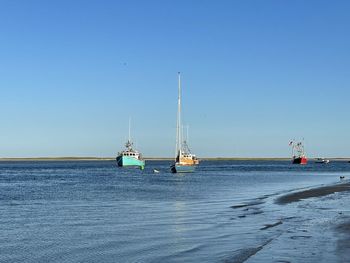 Sailboats sailing in sea against clear blue sky