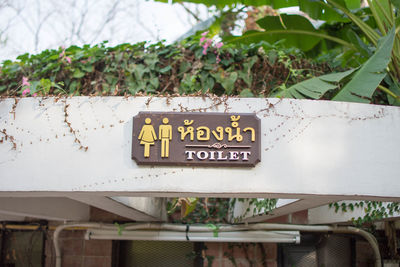 Close-up of information sign against plants