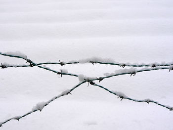 View of snow covered landscape