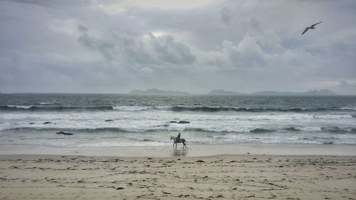 Distant view of man riding horse at beach against cloudy sky