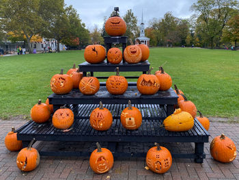 View of pumpkins in market during halloween