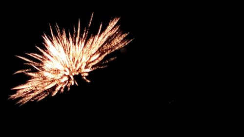 Low angle view of firework display at night