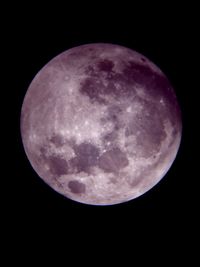 Low angle view of moon against clear sky at night