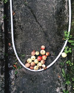 Directly above shot of rotten apples on footpath