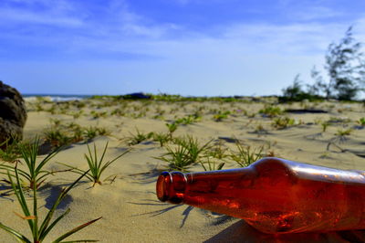 Close-up of beer bottle at shore of beach against sky