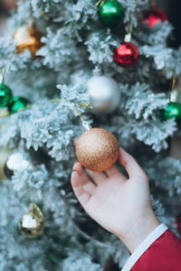 Cropped hand holding christmas tree