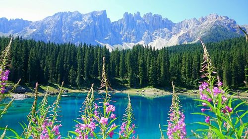 Scenic view of lake with mountains in background