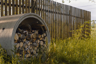 Plants growing on field seen through wooden fence