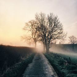 Road passing through field