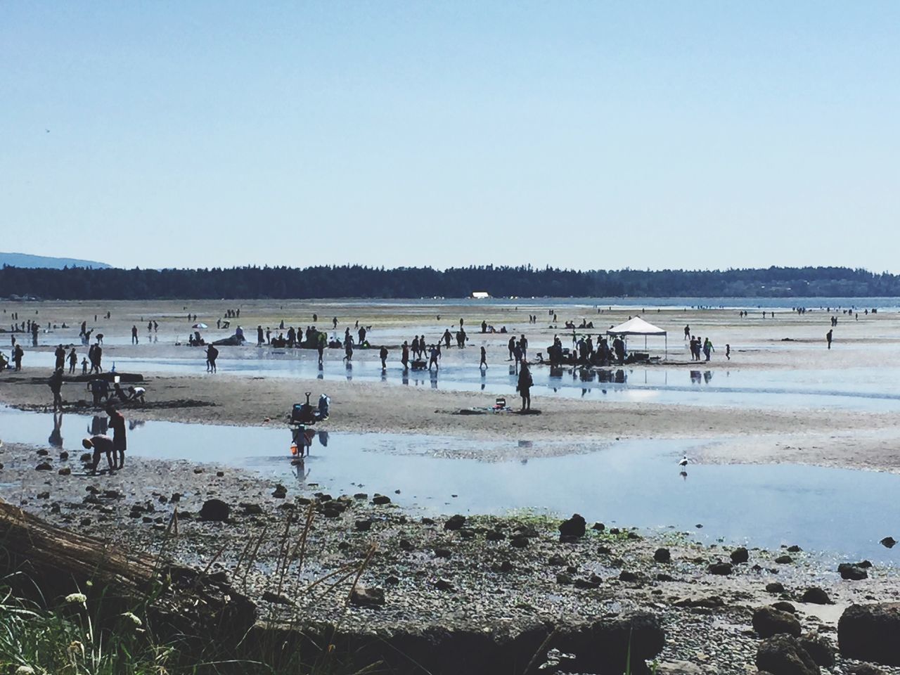 GROUP OF PEOPLE ON BEACH