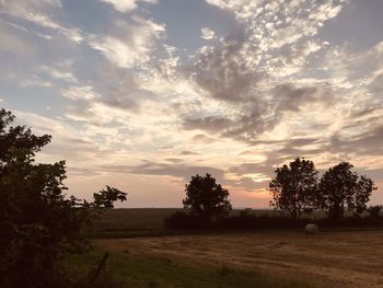 Trees on field against sky during sunset