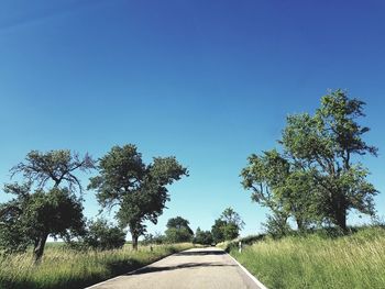 Trees on field against clear blue sky