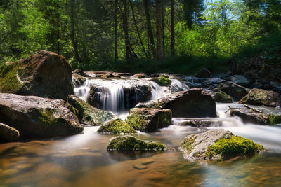 Waterfall in forest