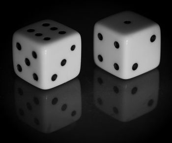 Close up view of an animal head