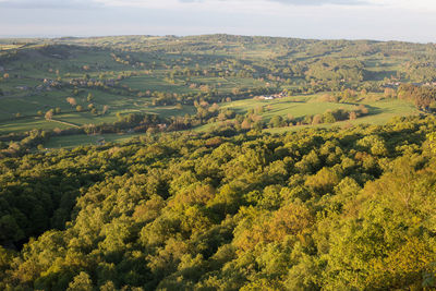 High angle view of trees on field against sky