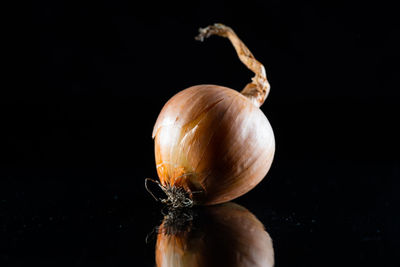 Close-up of pumpkin against black background