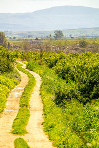 Scenic view of landscape