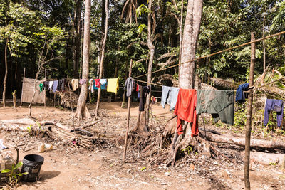 Clothes drying on clothesline by trees in forest