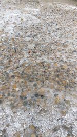 Full frame shot of rocks on beach