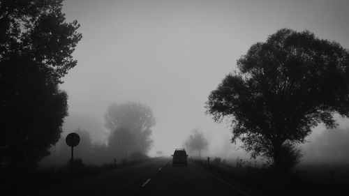 Empty country road along silhouette trees