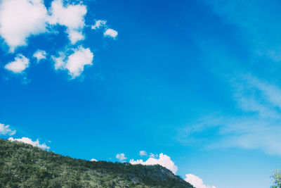 Low angle view of trees against blue sky