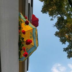 Low angle view of multi colored flower against sky