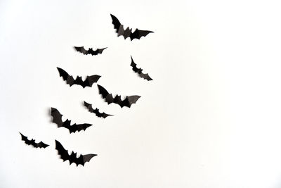 Low angle view of birds flying in sky