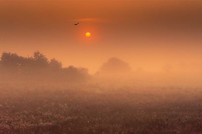 Sunset over landscape