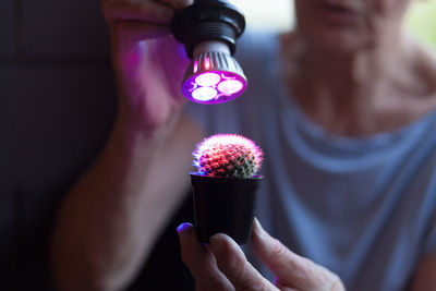 Midsection of woman holding small potted plant and flashlight