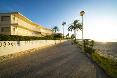 Road by palm trees against sky