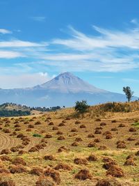 Scenic view of landscape against sky