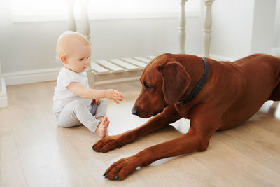 Cute baby girl sitting by dog