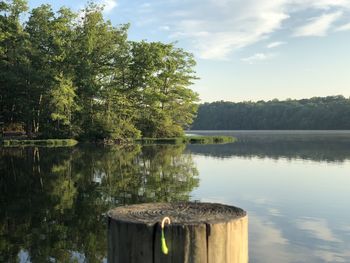 Scenic view of lake in forest against sky