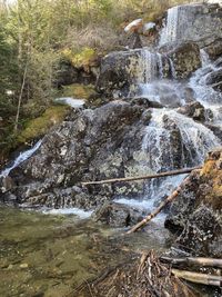 Stream flowing through rocks in forest