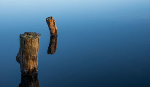 Wooden posts in lake