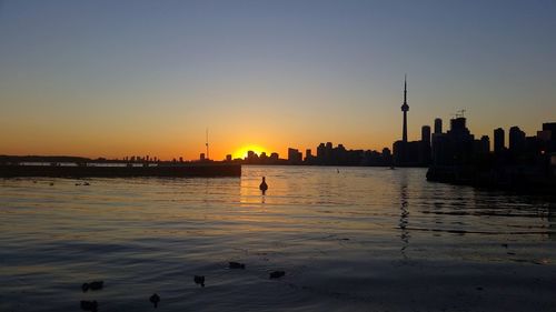 Silhouette of buildings in city during sunset