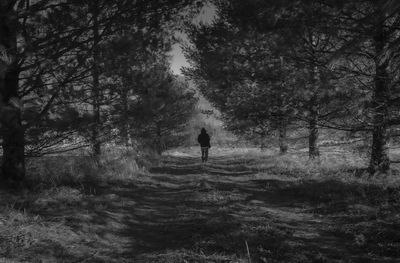 Rear view of man walking on land in forest