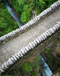 High angle view of footpath in park