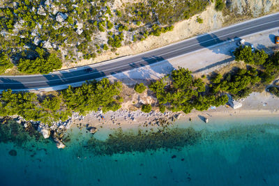 High angle view of trees on beach