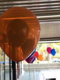 Close-up of multi colored ball on glass window