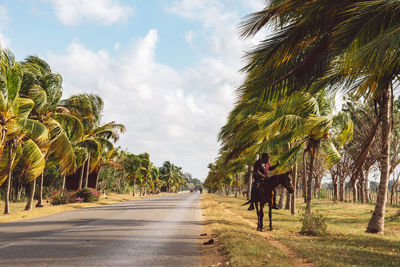 Rear view of woman walking on road amidst palm trees against sky
